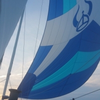 CCC_Sailing_206